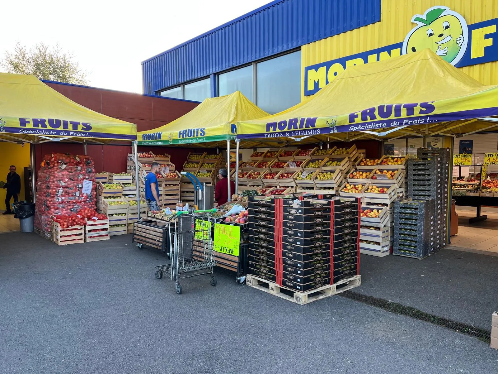 morins-fruits-foire-pomme